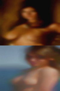 NC live sex transsexual club.